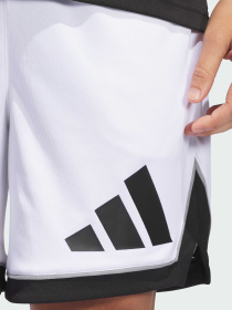 Шорты спортивные Adidas модель JN4729 Фото