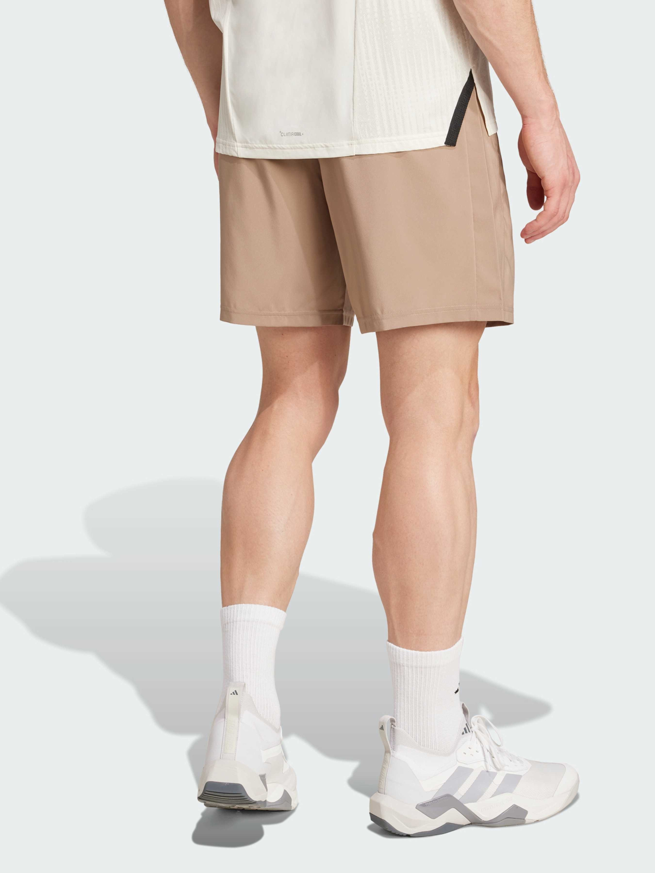 Шорты спортивные Adidas модель JW2495 Фото