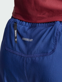 Шорты спортивные Adidas модель IM5417 Фото