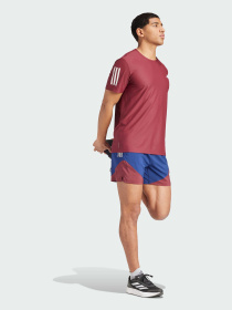 Шорты спортивные Adidas модель IM5417 Фото