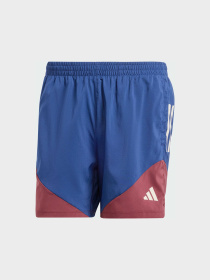 Шорты спортивные Adidas модель IM5417 Фото