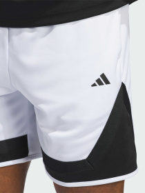 Шорти спортивні Adidas модель IX1849 Фото