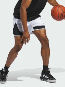 Шорты спортивные Adidas модель IX1849 Фото