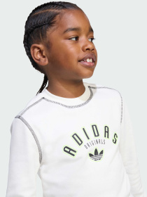 Спортивний костюм Adidas Graphics модель JX5261 Фото