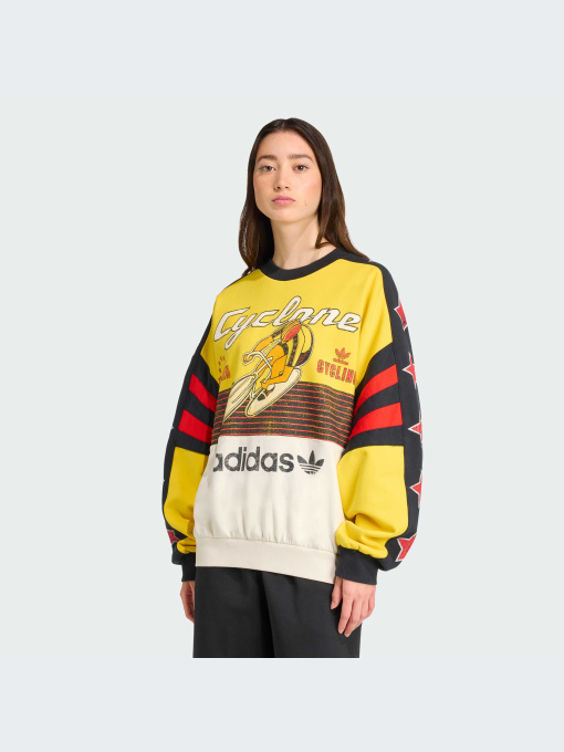 Худи и свитшоты Adidas Graphics модель JW0147-KZ Фото