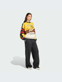 Худи и свитшоты Adidas Graphics модель JW0147-KZ Фото