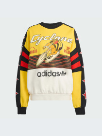 Худи и свитшоты Adidas Graphics модель JW0147-KZ Фото
