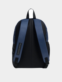 Рюкзаки Arena модель 010226-400 Фото