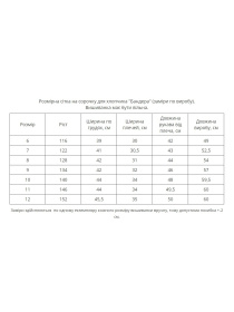 Вышиванки MEREZHKA модель kh746 Фото