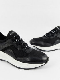 Кросівки Cerruti 1881 модель 3668 Фото