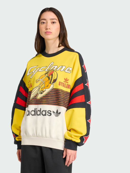 Свитшот Adidas Graphics модель JW0147 Фото