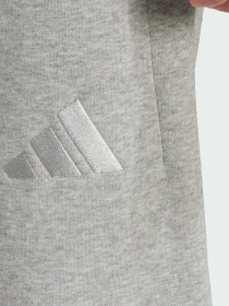 Повседневные штаны Adidas модель IY4148 Фото