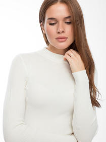 Водолазка Famo модель GO-1300_04 Фото