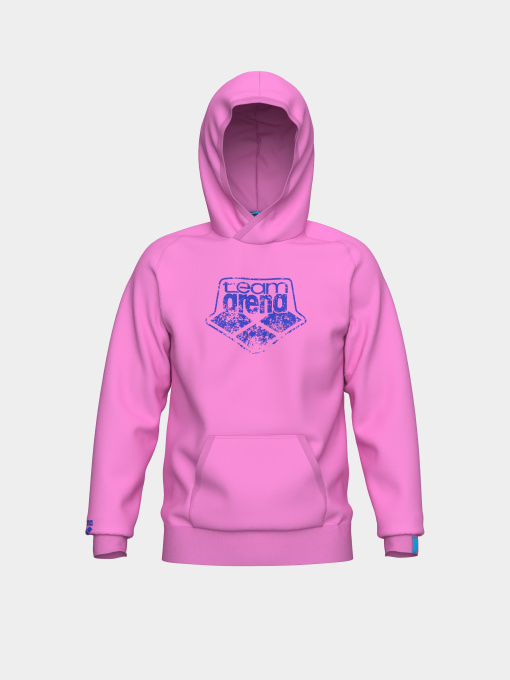 Худи Arena модель 010197-900 Фото