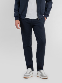 Чиносы Arber модель M01.40.09.531 Фото