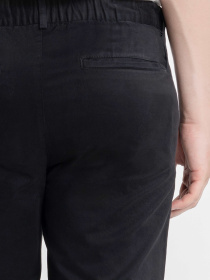 Чиносы Arber модель M01.41.02.531 Фото