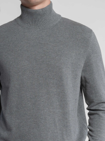 Водолазка Arber модель M10.15.12.531 Водолазка Arber модель M10.15.12.531 Фото