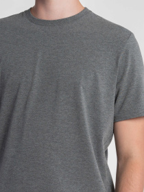 Футболка Arber модель M13.03.11.531 Фото