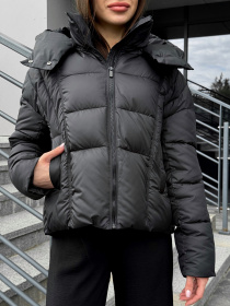 Пуховик UVENTUM модель DV-009-BLC Пуховик UVENTUM модель DV-009-BLC Фото