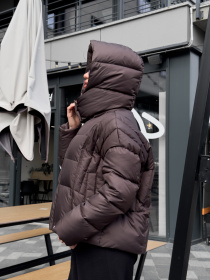 Пуховик UVENTUM модель DV-009-BRN Пуховик UVENTUM модель DV-009-BRN Фото