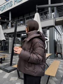 Пуховик UVENTUM модель DV-009-BRN Пуховик UVENTUM модель DV-009-BRN Фото