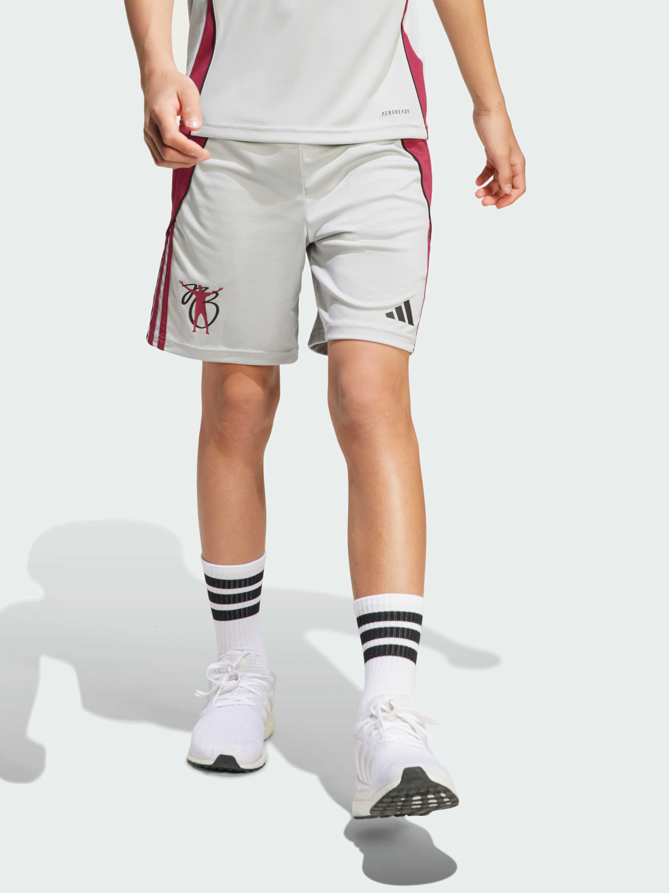 Шорты спортивные Adidas модель JX1952 Фото