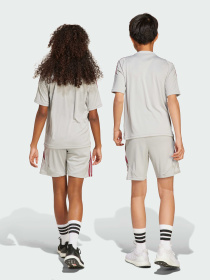 Спортивні шорти Adidas модель JX1952 Фото