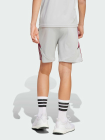 Спортивні шорти Adidas модель JX1952 Фото