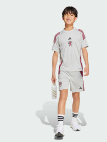 Спортивні шорти Adidas модель JX1952 Фото