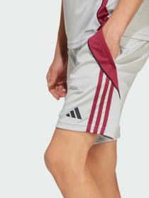 Спортивні шорти Adidas модель JX1952 Фото