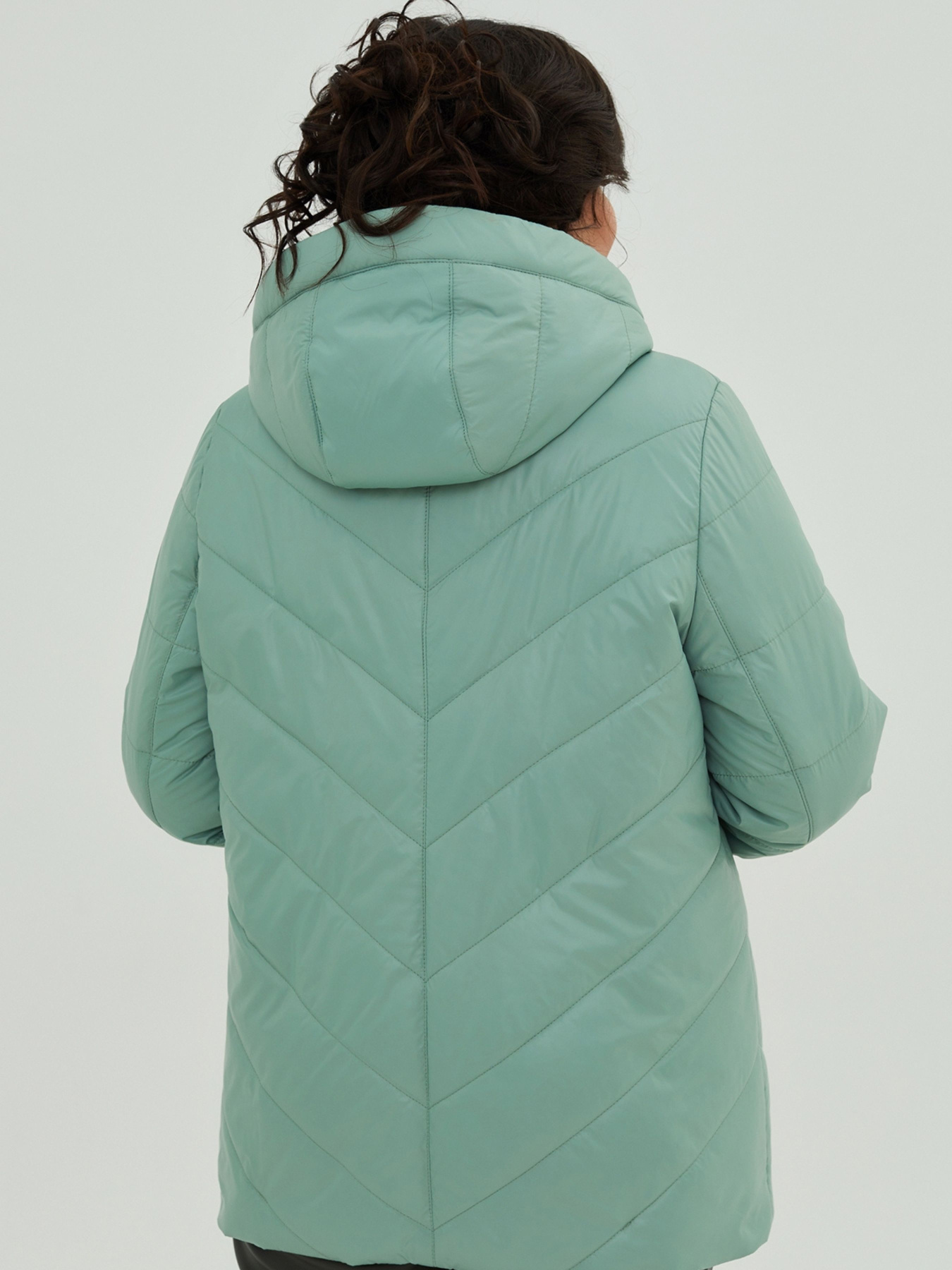 Куртки All Posa модель ap101097p-svtlo-zelenij Фото