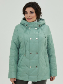 Куртки All Posa модель ap101097p-svtlo-zelenij Фото