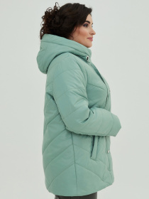 Куртки All Posa модель ap101097p-svtlo-zelenij Фото