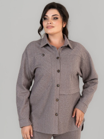 Рубашка All Posa модель ap102039p-korichnevij Фото