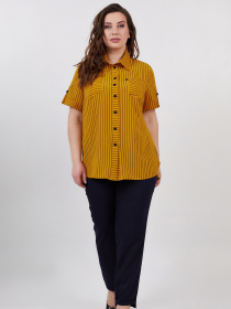Рубашка повседневная All Posa модель ap100541p-zhovtij Фото