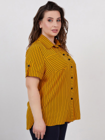 Рубашка повседневная All Posa модель ap100541p-zhovtij Фото