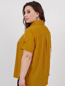 Рубашка повседневная All Posa модель ap100541p-zhovtij Фото