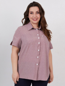 Рубашка All Posa модель ap100541p-pudra Фото