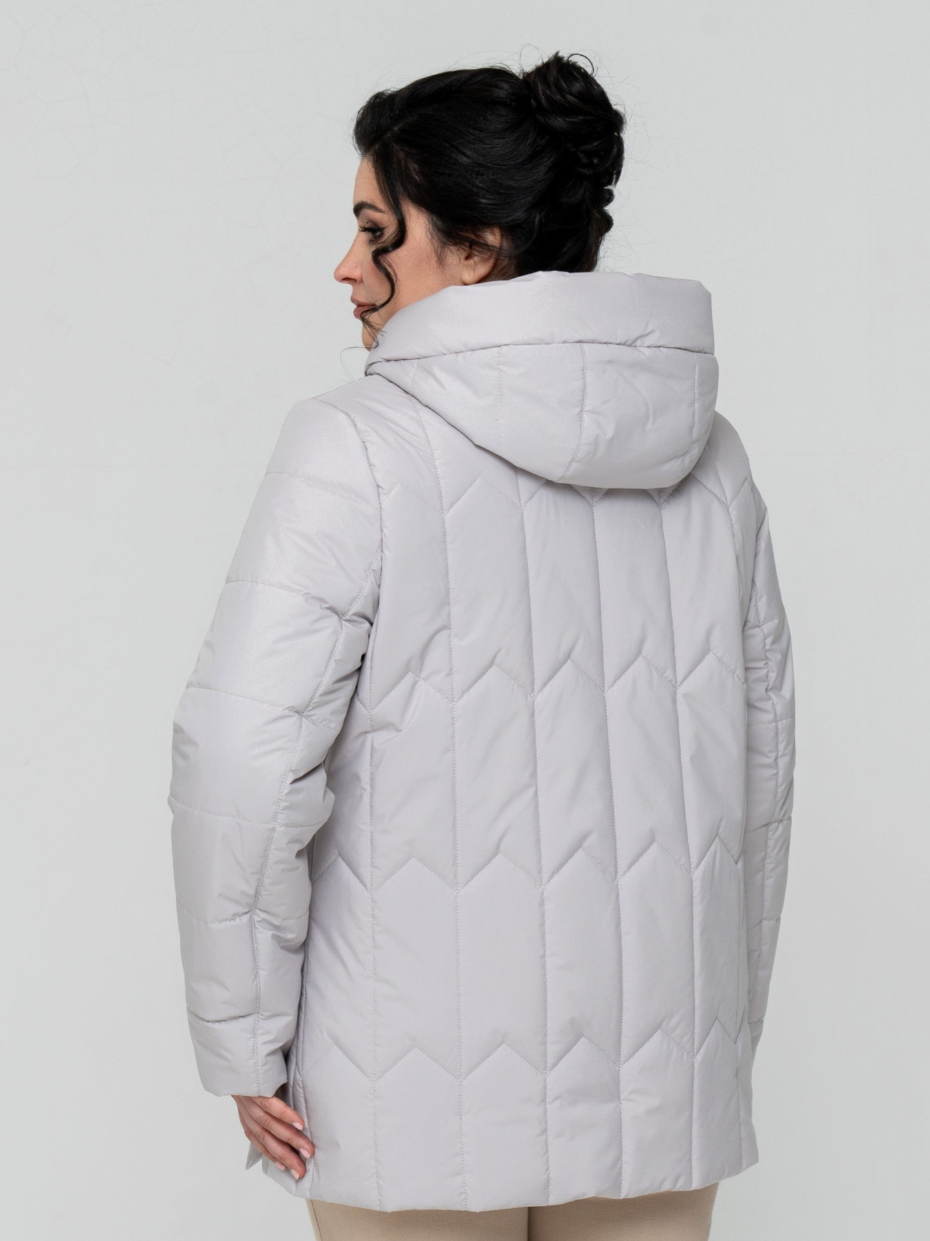 Демісезонна куртка All Posa модель ap102309p-ld Фото