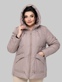 Демисезонная куртка All Posa модель ap102309p-dimchasta-troqnda Фото