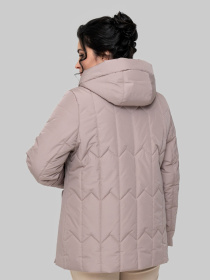 Демисезонная куртка All Posa модель ap102309p-dimchasta-troqnda Фото