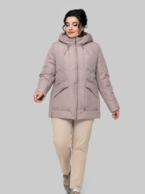 Демисезонная куртка All Posa модель ap102309p-dimchasta-troqnda Фото