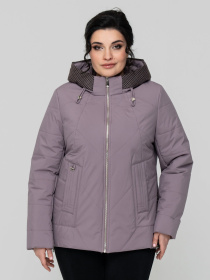 Демисезонная куртка All Posa модель ap102305p-dimchasta-troqnda Фото