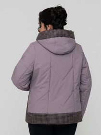 Демисезонная куртка All Posa модель ap102305p-dimchasta-troqnda Фото