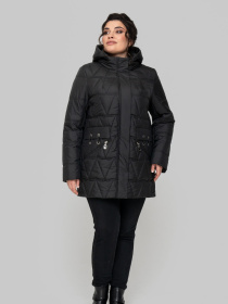 Демисезонная куртка All Posa модель ap102274p-chornij Демисезонная куртка All Posa модель ap102274p-chornij Фото