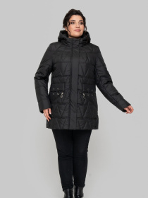 Демисезонная куртка All Posa модель ap102274p-chornij Фото