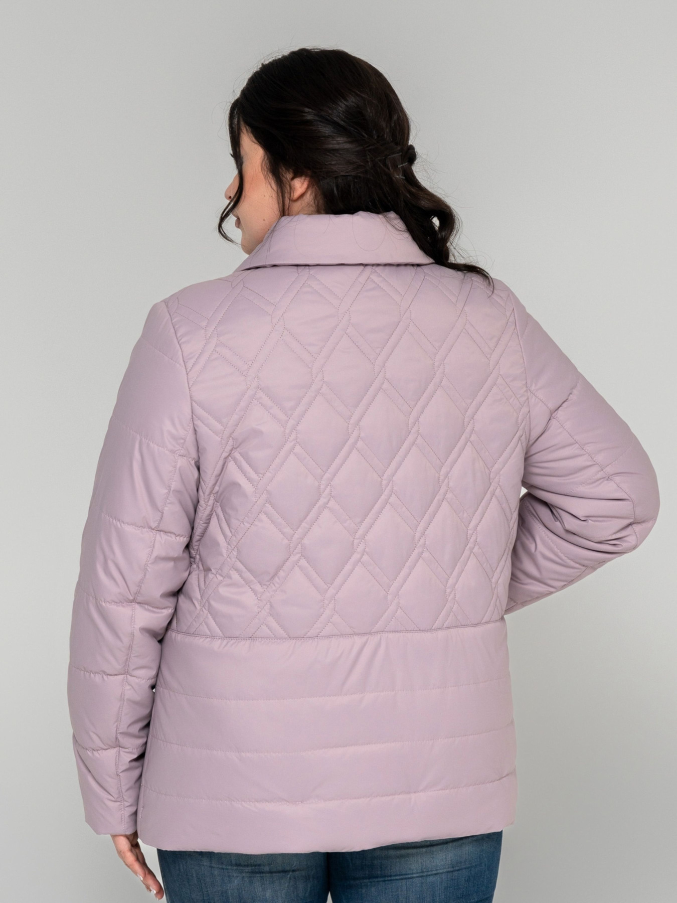 Демисезонная куртка All Posa модель ap101882p-pudra Фото