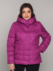 Демисезонная куртка All Posa модель ap101846p-malina-chornij Фото