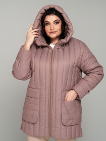 Куртки и дубленки All Posa модель ap101806p-kapuchno Фото