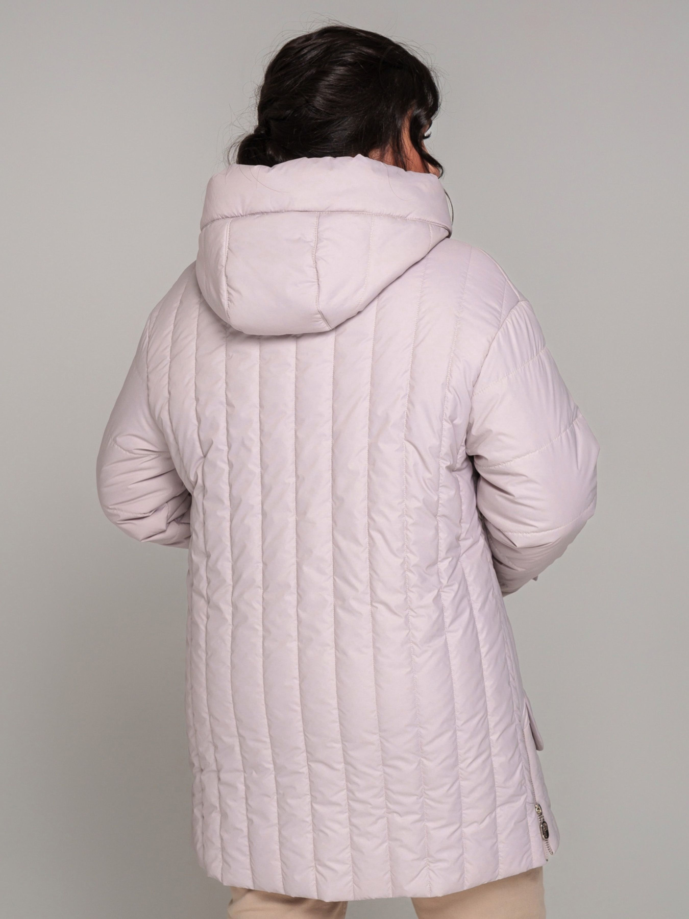 Демісезонна куртка All Posa модель ap101806p-ld Фото